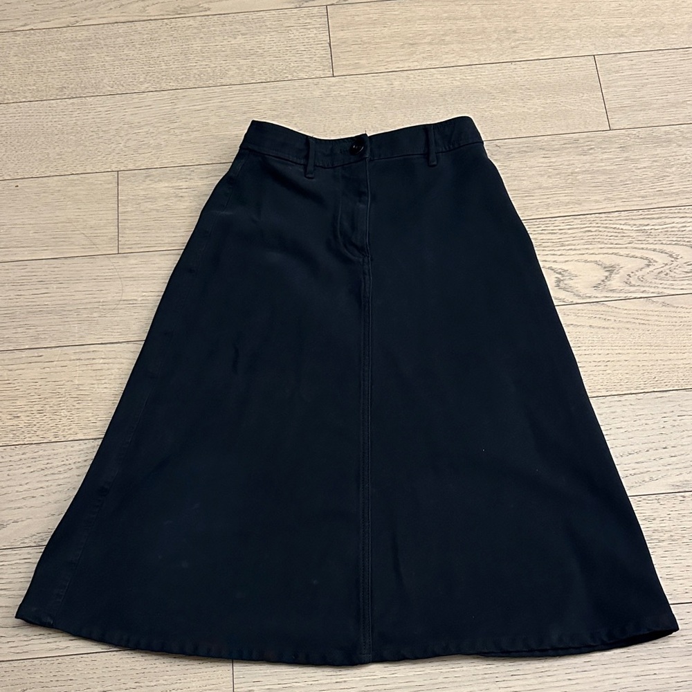 Aritzia Midi Skirt (00)